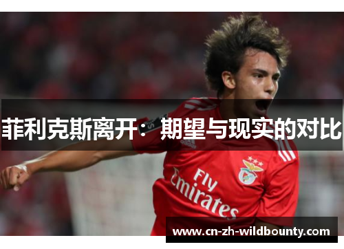 菲利克斯离开：期望与现实的对比
