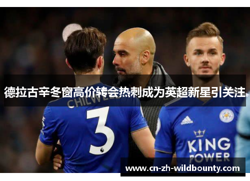 德拉古辛冬窗高价转会热刺成为英超新星引关注 德拉古辛冬窗高价转会热刺成为英超新星引关注